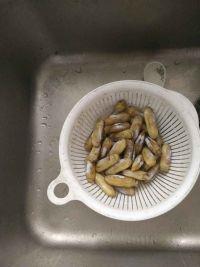 盐焗蛏的做法步骤1